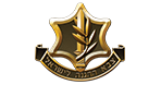 IDF - DEFENSE